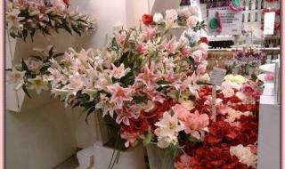 想开花店哪里学