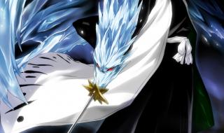 日番谷冬狮郎虚化