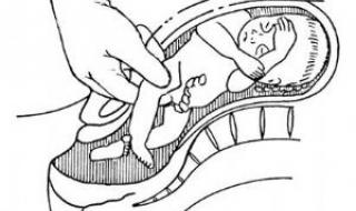 轻置玉臀是什么意思 轻置玉臀是什么意思