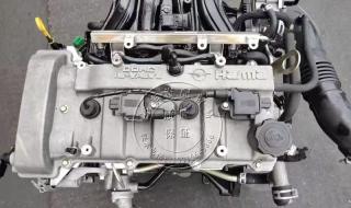 海马海福星 海马海福星