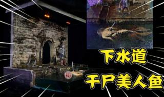 电影下水道的美人鱼