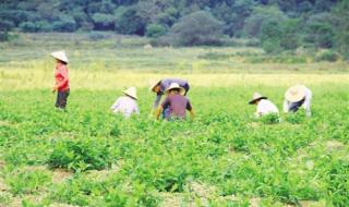 江西省赣州市信丰县