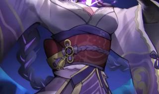 原神反雷电将军特训