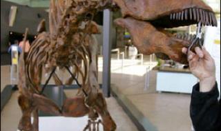 阿根廷生活水平怎么样